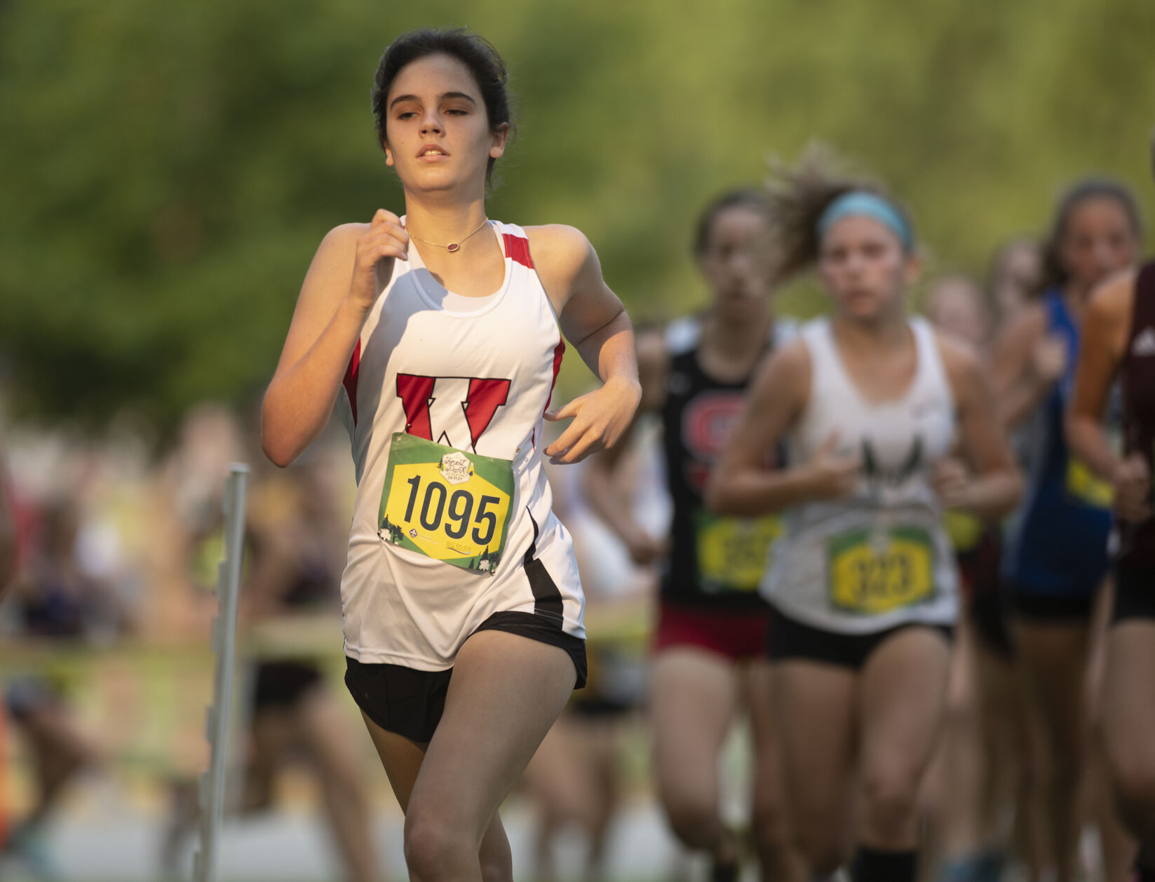Forest Park Festival girls cross country